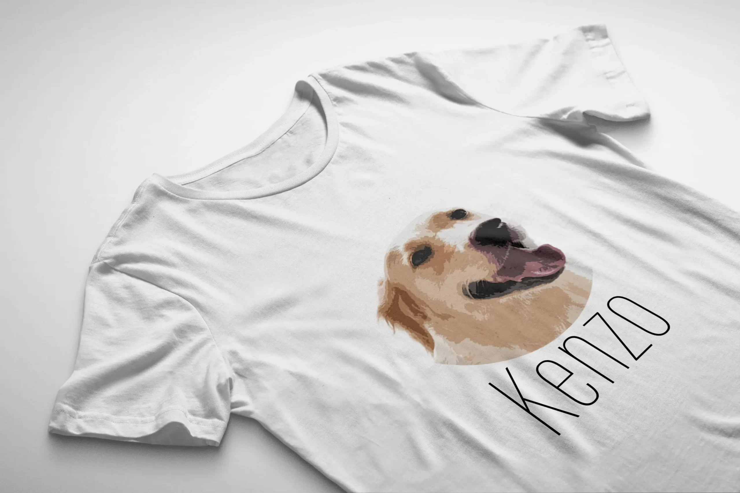 PLAYERA 4